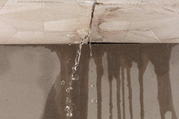 Professional Structural Drying technician working in Ashley, OH